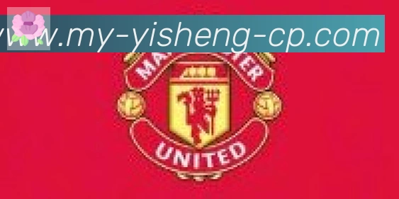亿盛彩票平台合作伙伴